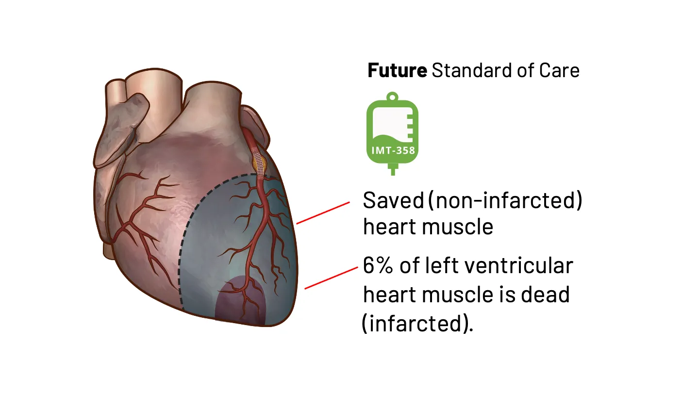 imgi_12_home-heart-slide-desktop-10